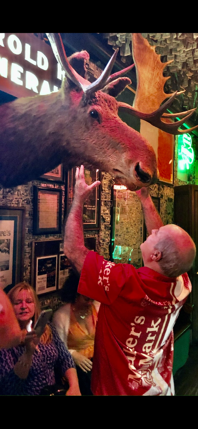 Customer review photo 7